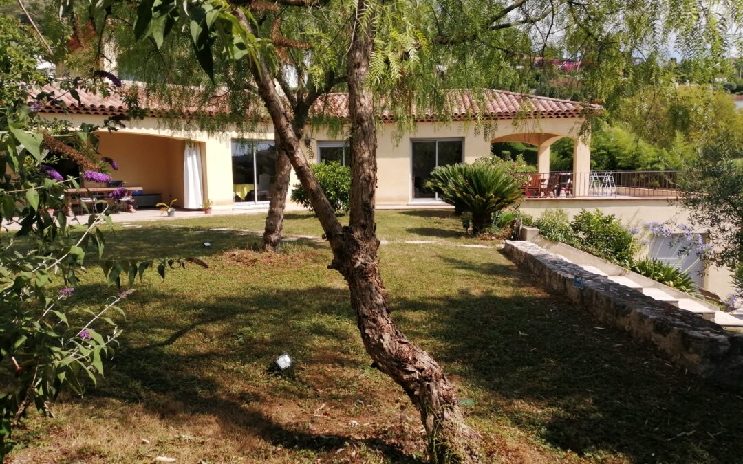 Canicule  : 7 conseils pour garder sa maison fraîche et mieux la vendre